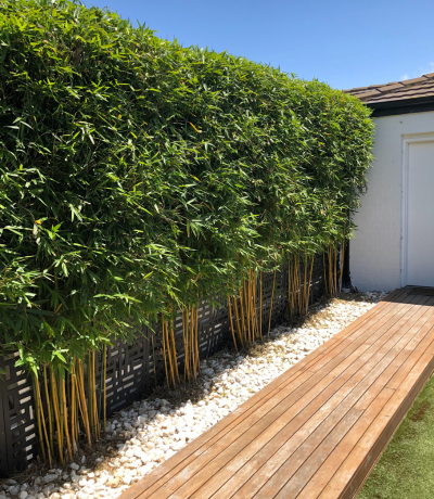 Garden Maintenance