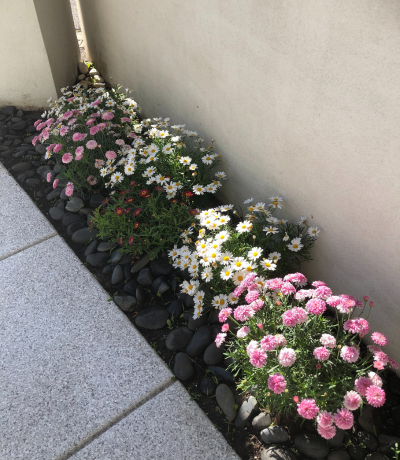 Untitled design (15)